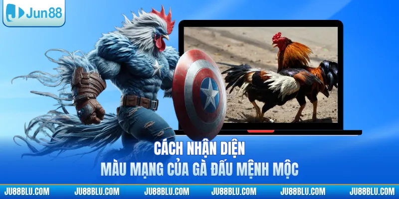 Cách nhận diện màu mạng của gà đấu mệnh Mộc