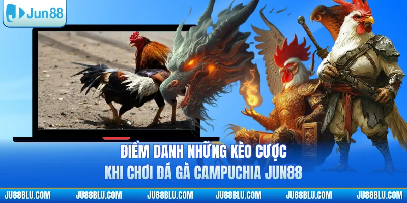 Điểm danh những kèo cược khi chơi đá gà Campuchia JUN88