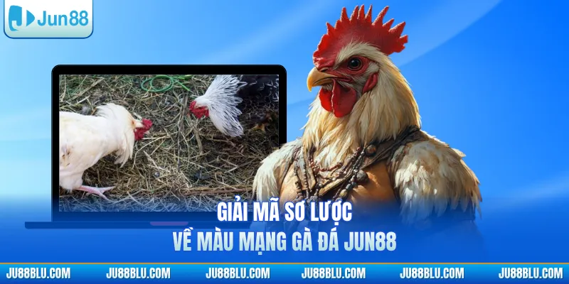 Giải mã sơ lược về màu mạng gà đá JUN88