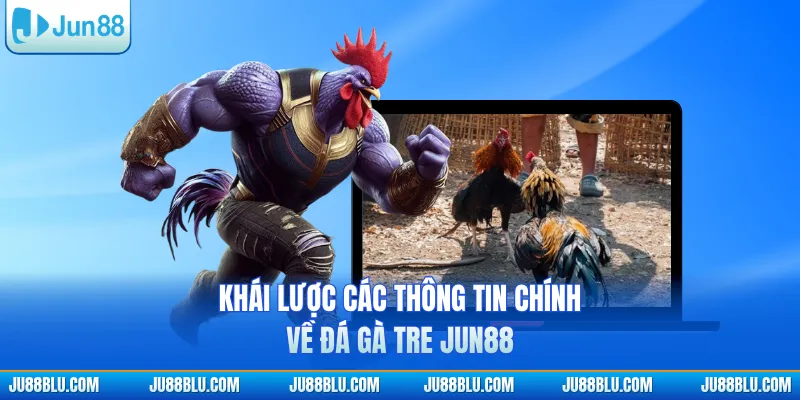 Khái lược các thông tin chính về đá gà tre JUN88