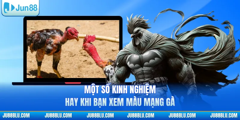 Một số kinh nghiệm hay khi bạn xem màu mạng gà
