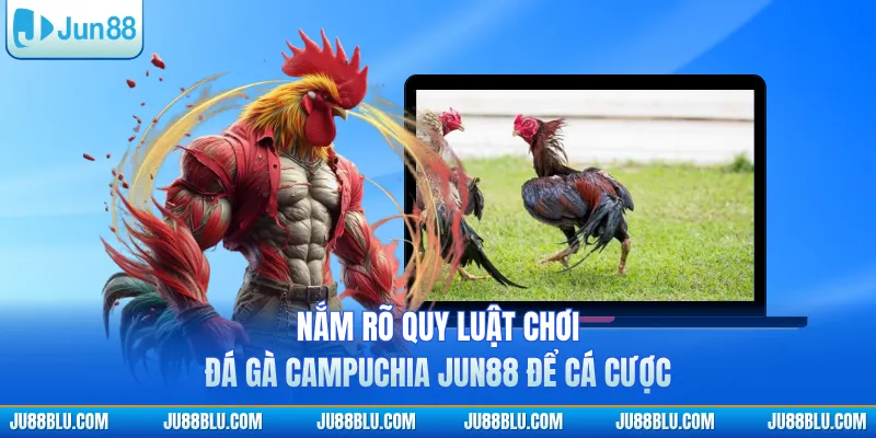 Nắm rõ quy luật chơi đá gà Campuchia JUN88 để cá cược