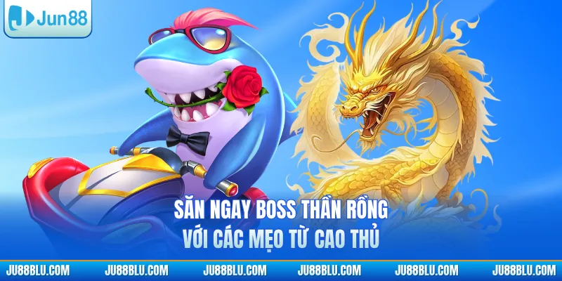 Săn ngay boss Thần Rồng với các mẹo từ cao thủ
